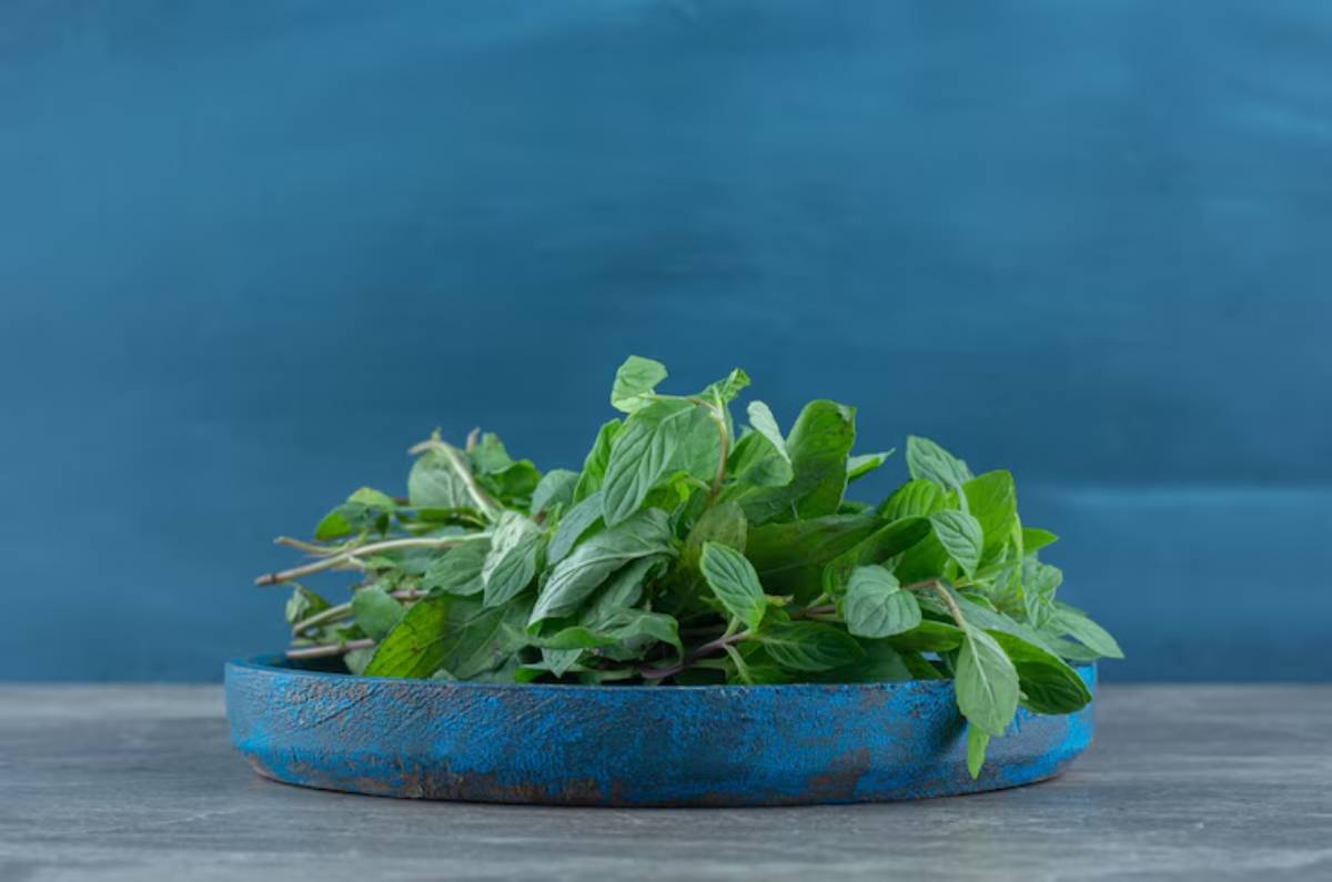 A vibrant bunch of fresh mint leaves sits on a rustic blue plate against a soft blue backdrop, highlighting its lush greenery.