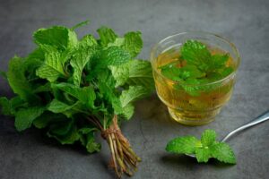 The Science Behind Lemon Balm for Restful Nights